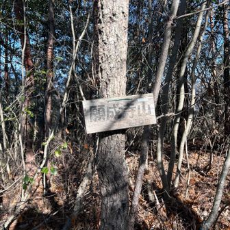 気にしていないとスルーしてしまいそうな山頂標識💦
