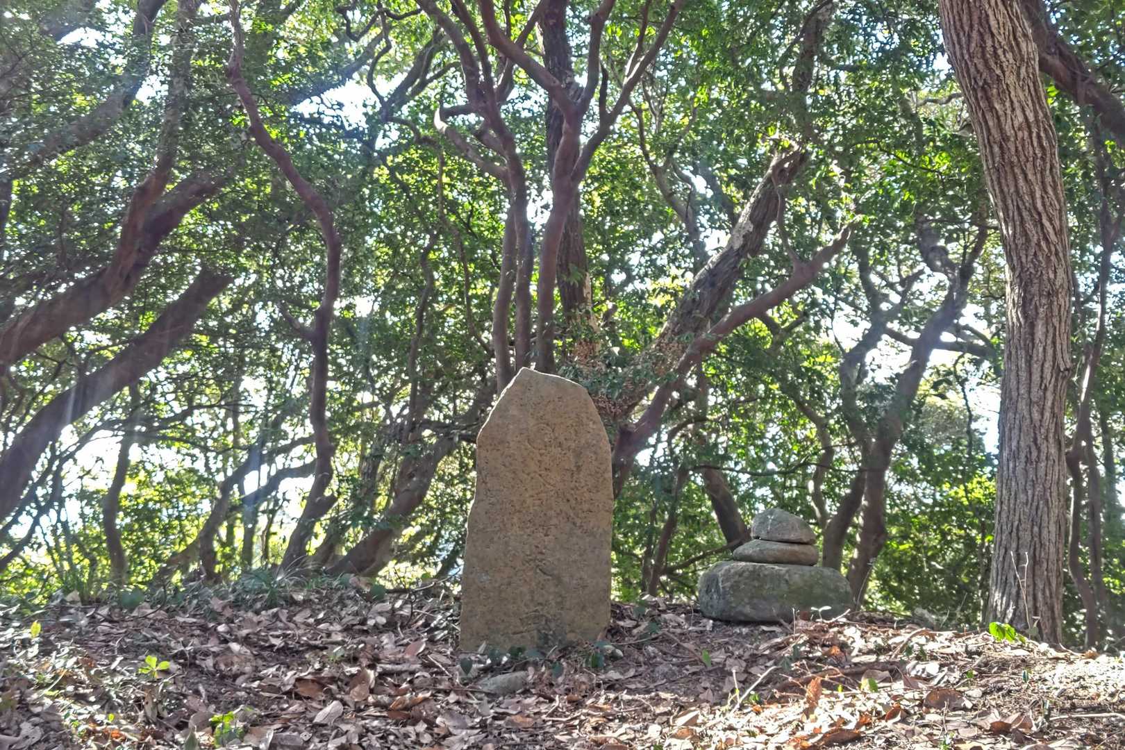 大黒様-御殿山-鷹取山-宝篋塔山 往復コースの写真