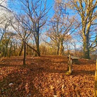三国山に到着。
眺望はないけど、雰囲気は最高✨