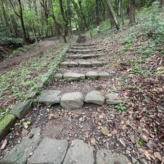緩やかな階段