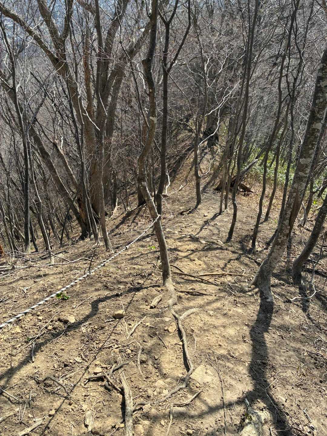 西峰に、進みます