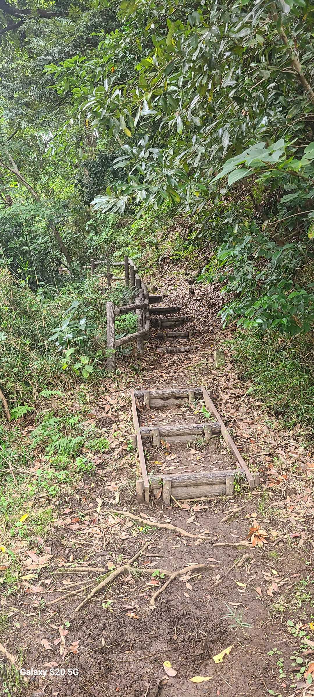 歩きやすい登山道