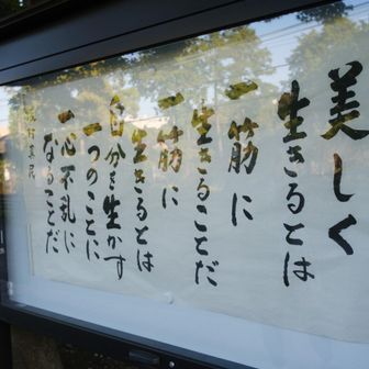朝から名言来ました。