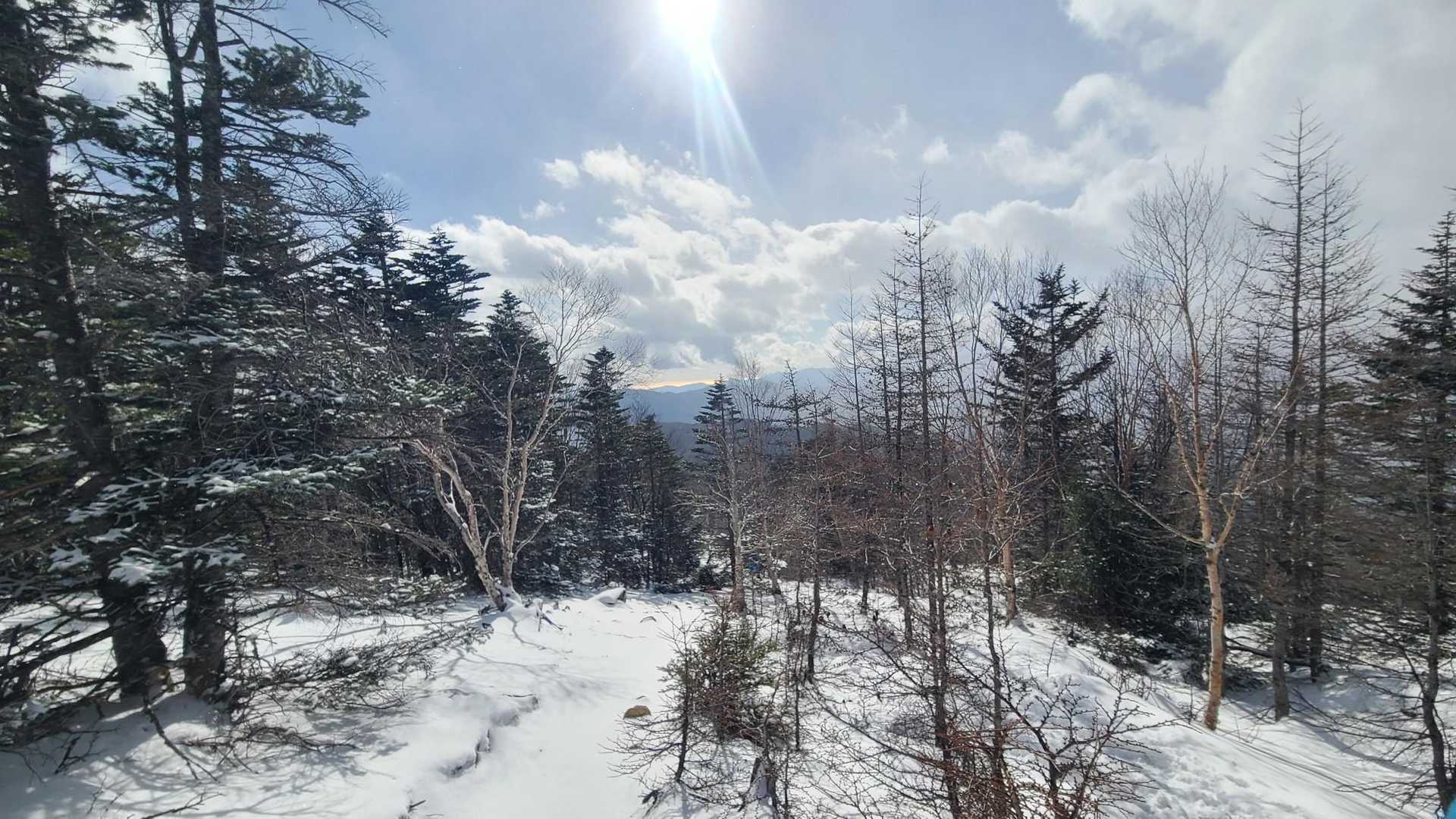 夜叉神峠登山口-夜叉神峠-杖立峠-苺平-辻山 往復コースの写真