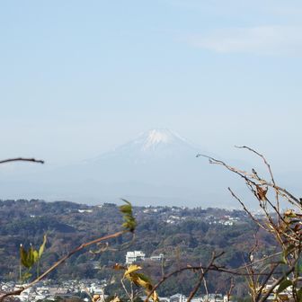 富士山アップ！