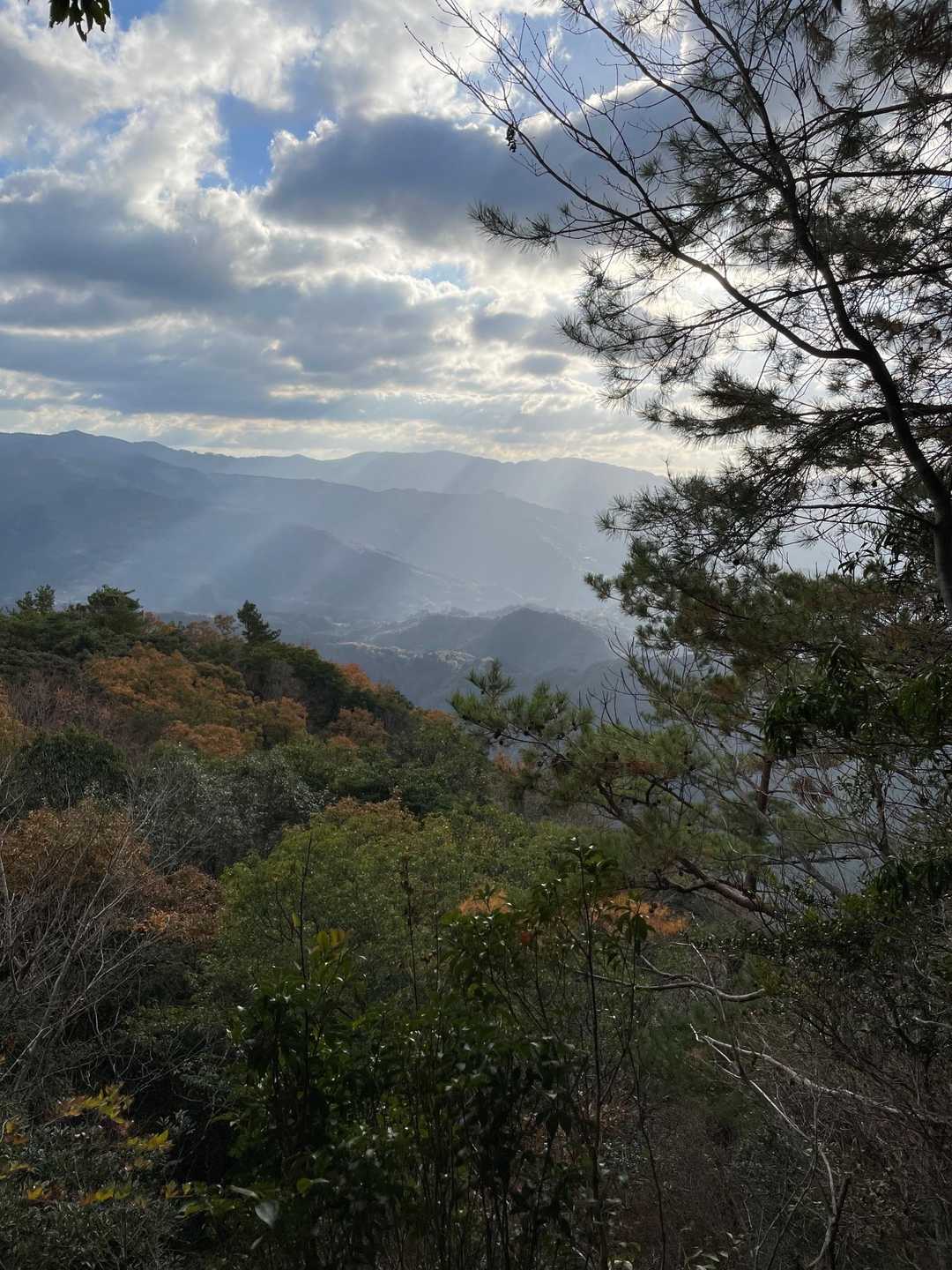 景色👍