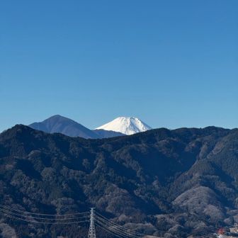 富士山綺麗
