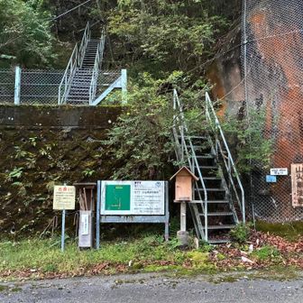 行仙岳・笠捨山登山口
看板にはNTT行仙無線中継所へ向かう為のNTT専用道路とあった。
もう専用では無くなったのかな？
最初から階段スタート。階段は歩きやすいが結構きつい。