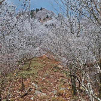 期待してなかったから、喜びも数倍‼️　
弟も来て良かった～と😃