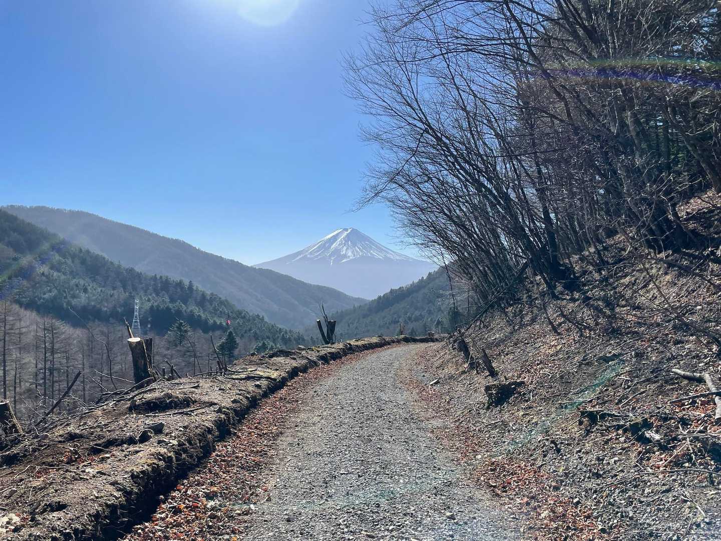帰りは富士山を見ながら林道歩き