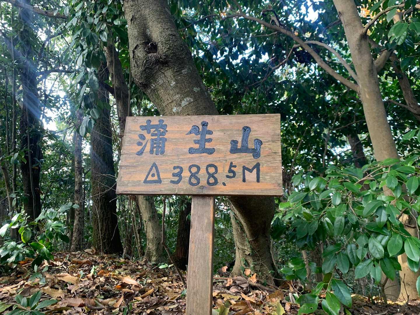 蒲生池登山口-日岡山-蒲生山 往復コースの写真