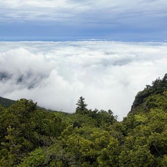 稜線に出ました！

一面の雲海✨
まるで3000m峰