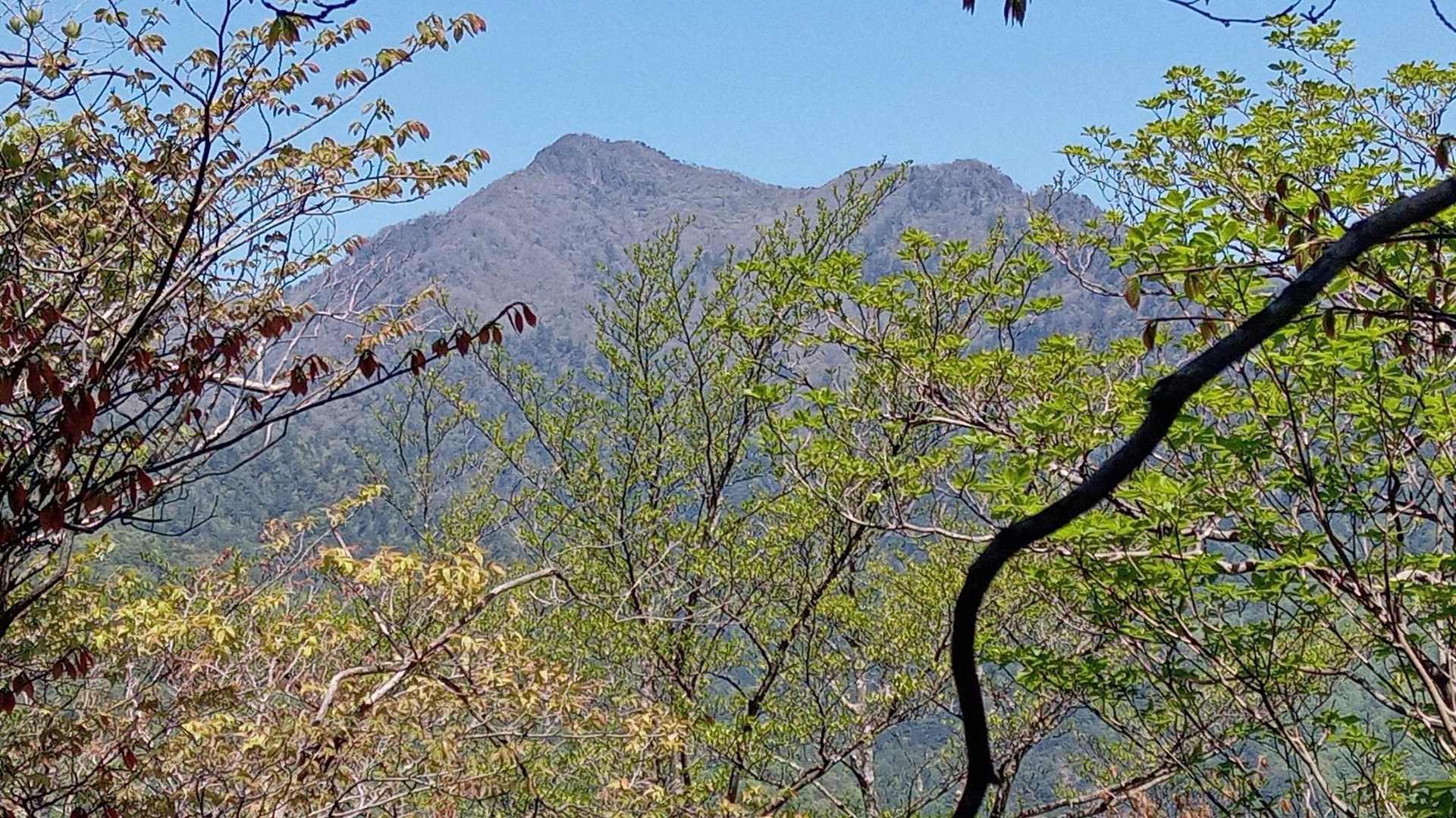 振り返ると傾山