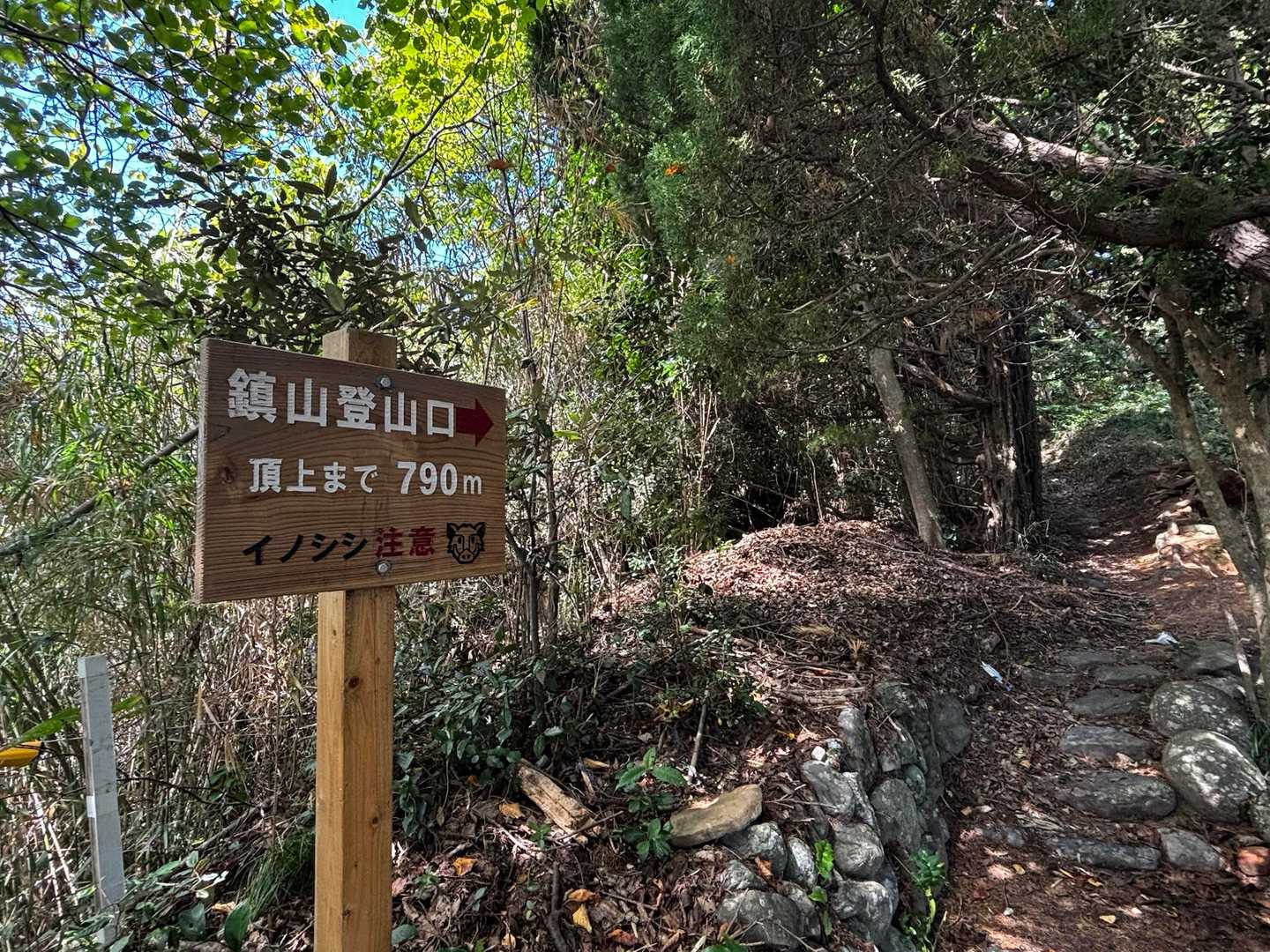 本殿の左側から登山道へ👆