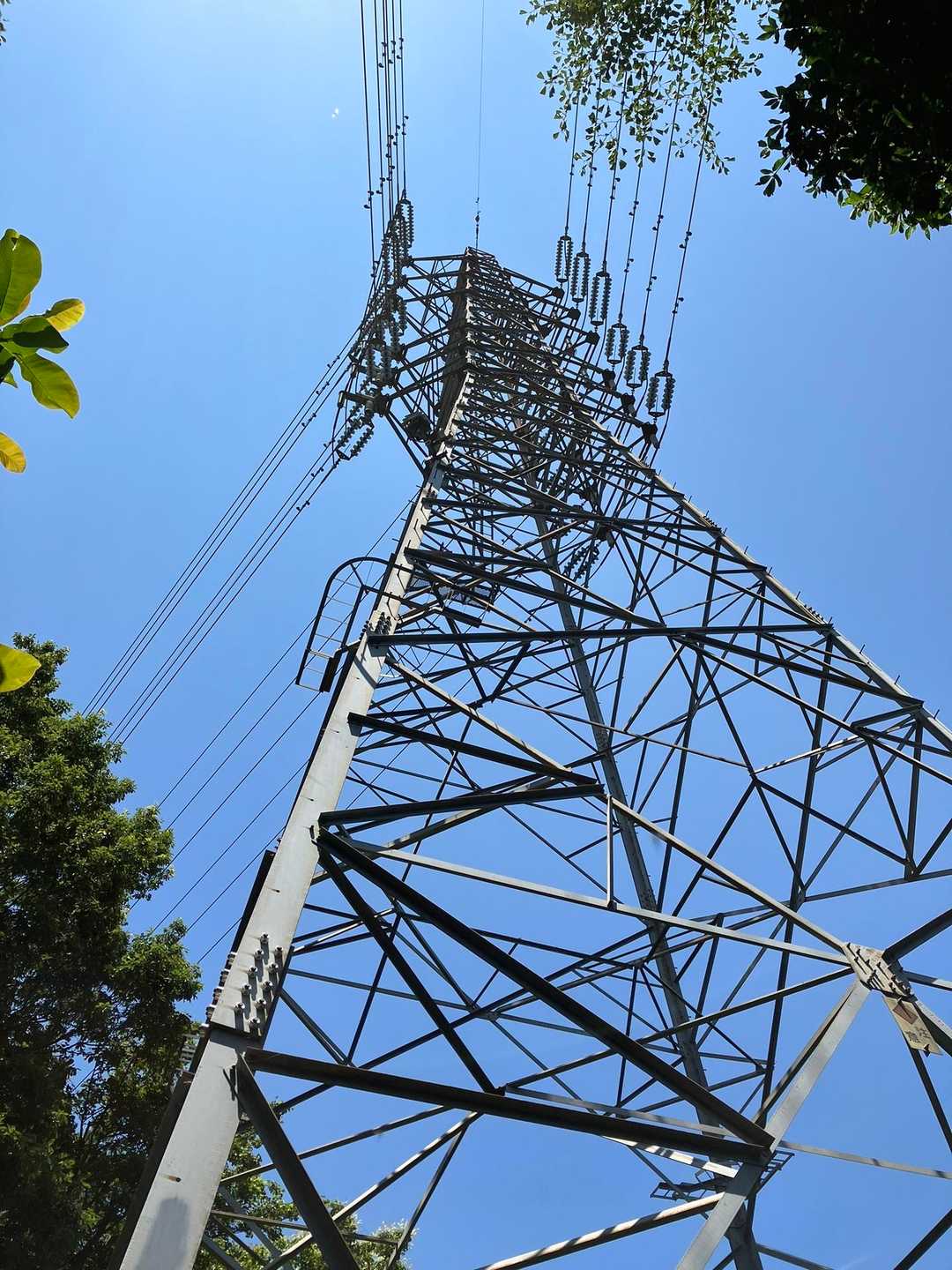 ふれあいの森入口-尾張白山 周回コースの写真