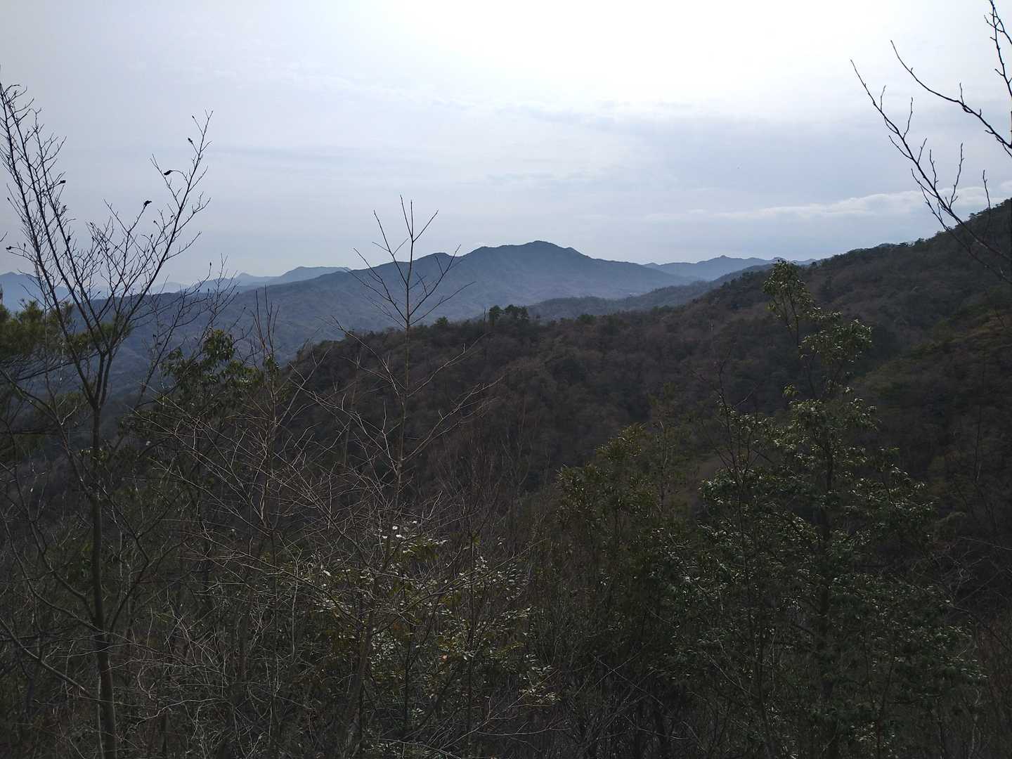 山口尾でしょうか。右側のピョコンとした山頂は、蕎麦ヶ岳