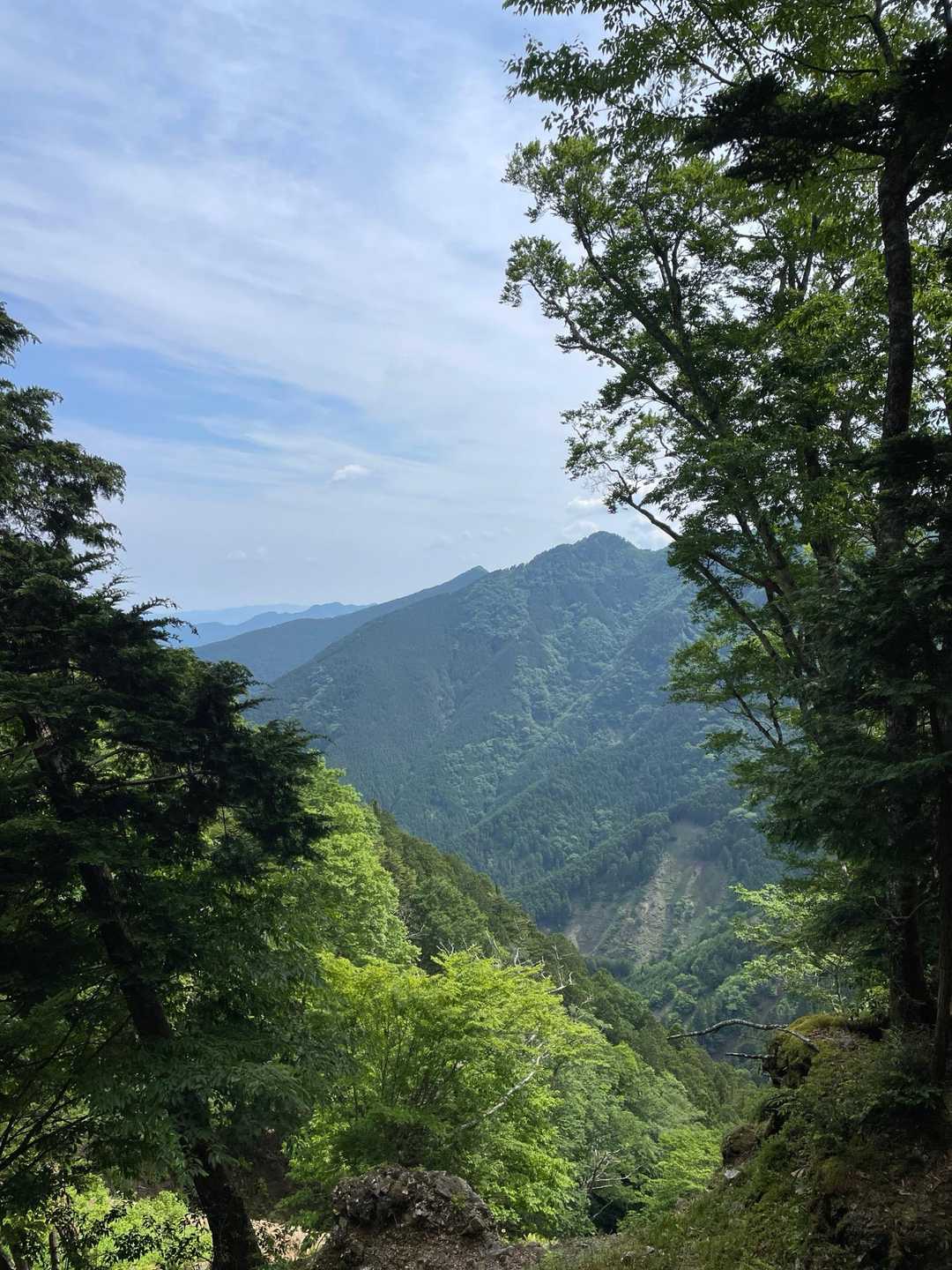 東方面。