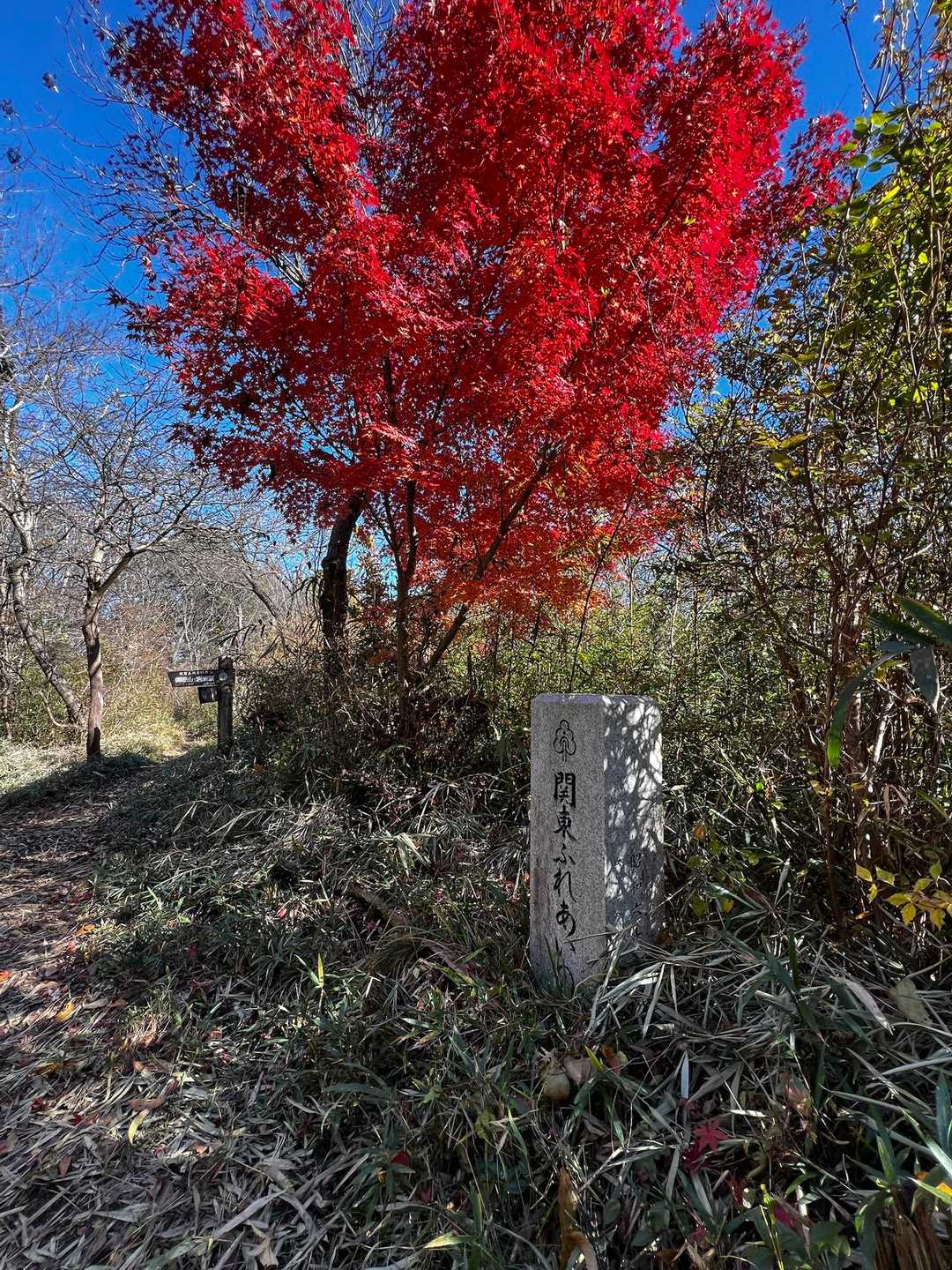 御嶽山登山口-御嶽山-雨引山-燕山 往復コースの写真