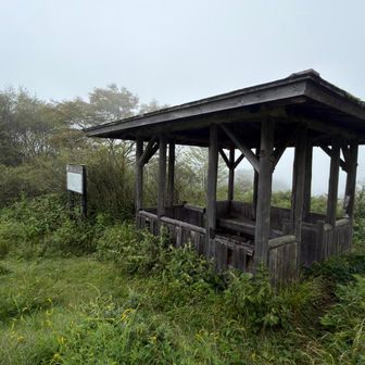ここに手袋を忘れて来てしまいました…。