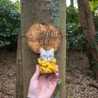 二子山（下の山）到着
道の途中で山頂感はなく展望もなし