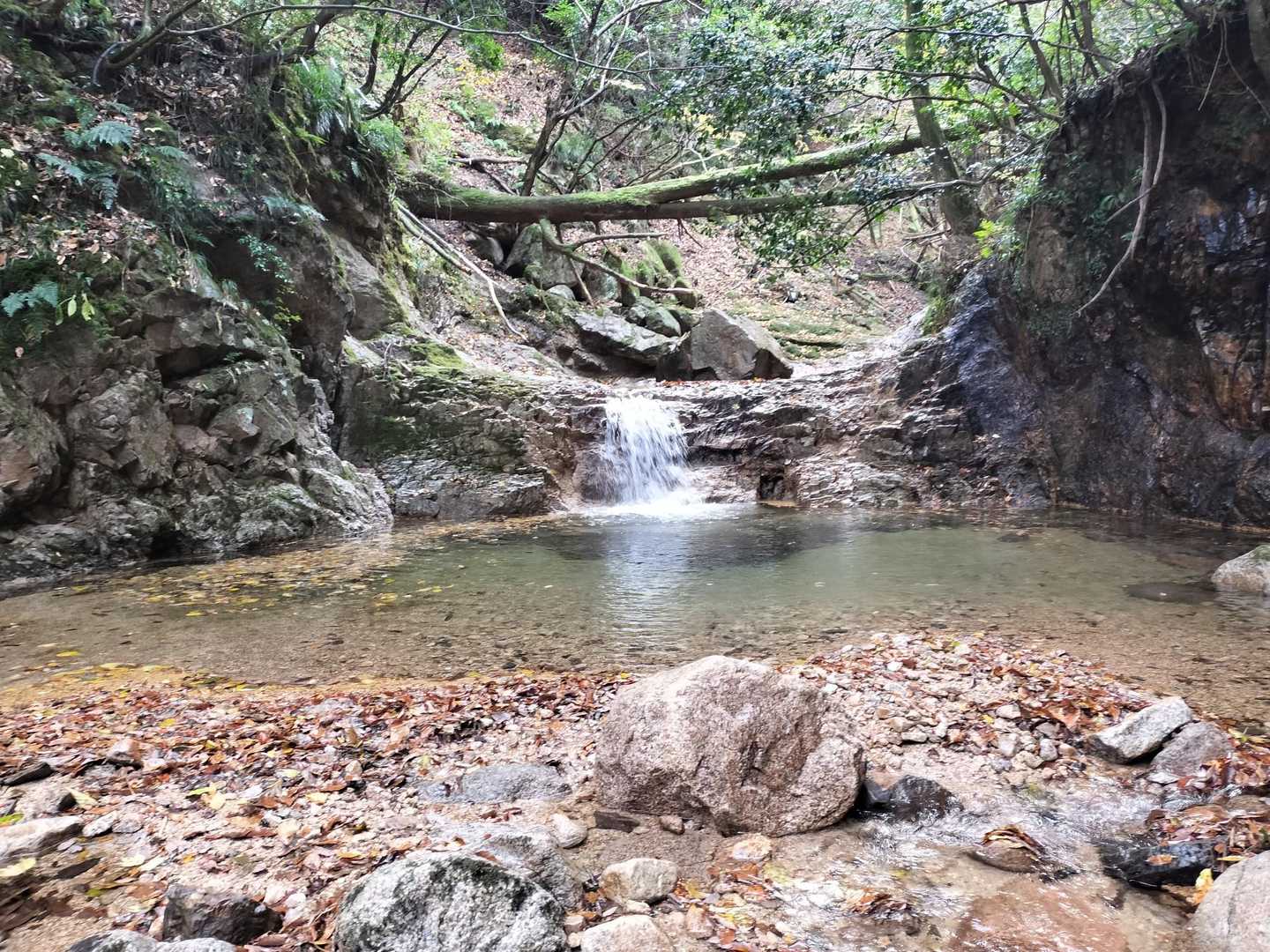宮指路岳-小社峠-仙ヶ岳 縦走コースの写真