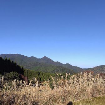 那智高原公園より見る烏帽子山💦
夏はダメよ😆