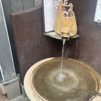 温泉出てる♨️