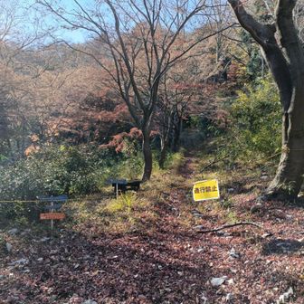 今年は通行禁止