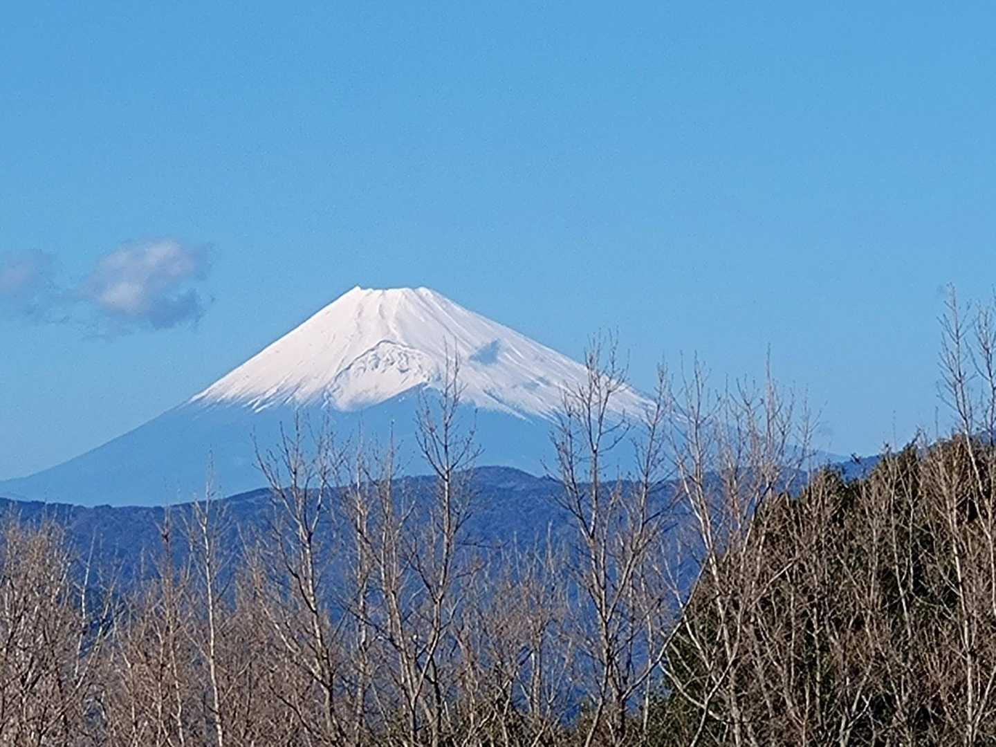 小室山-小室神社-小室山リフト山麓駅 周回コースの写真