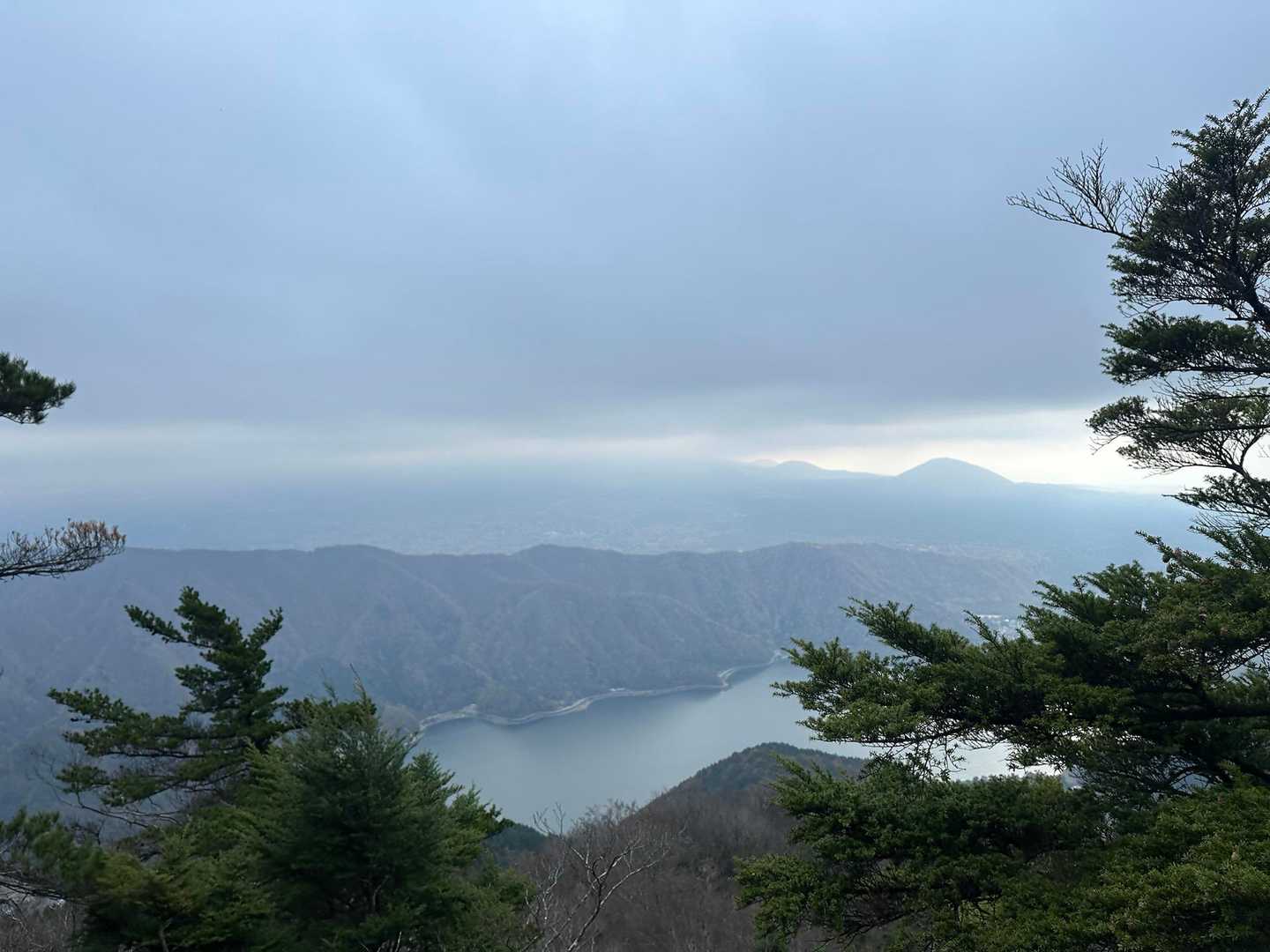 桑留尾登山口-十二ヶ岳 往復コースの写真