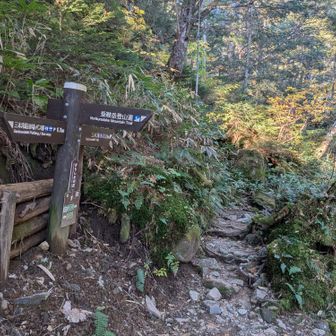 三本滝への分岐