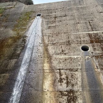 六甲山・長峰山・摩耶山 ホチキス堰堤③