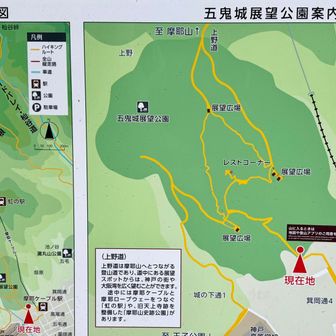 下りケーブルという選択肢も頭をよぎりましたが、無事下山
やっぱり六甲山系は足腰が鍛えられる😂