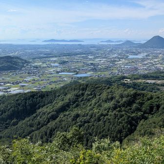 瀬戸内海