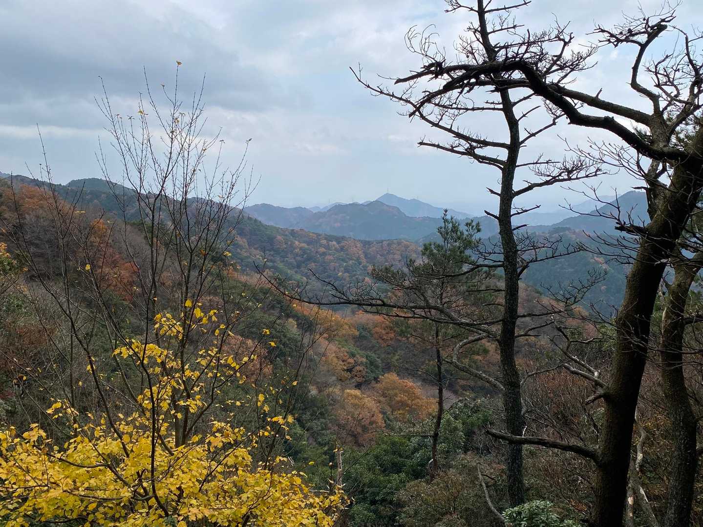 忍者岳-那須ヶ原山-ゾロ峠 往復コースの写真