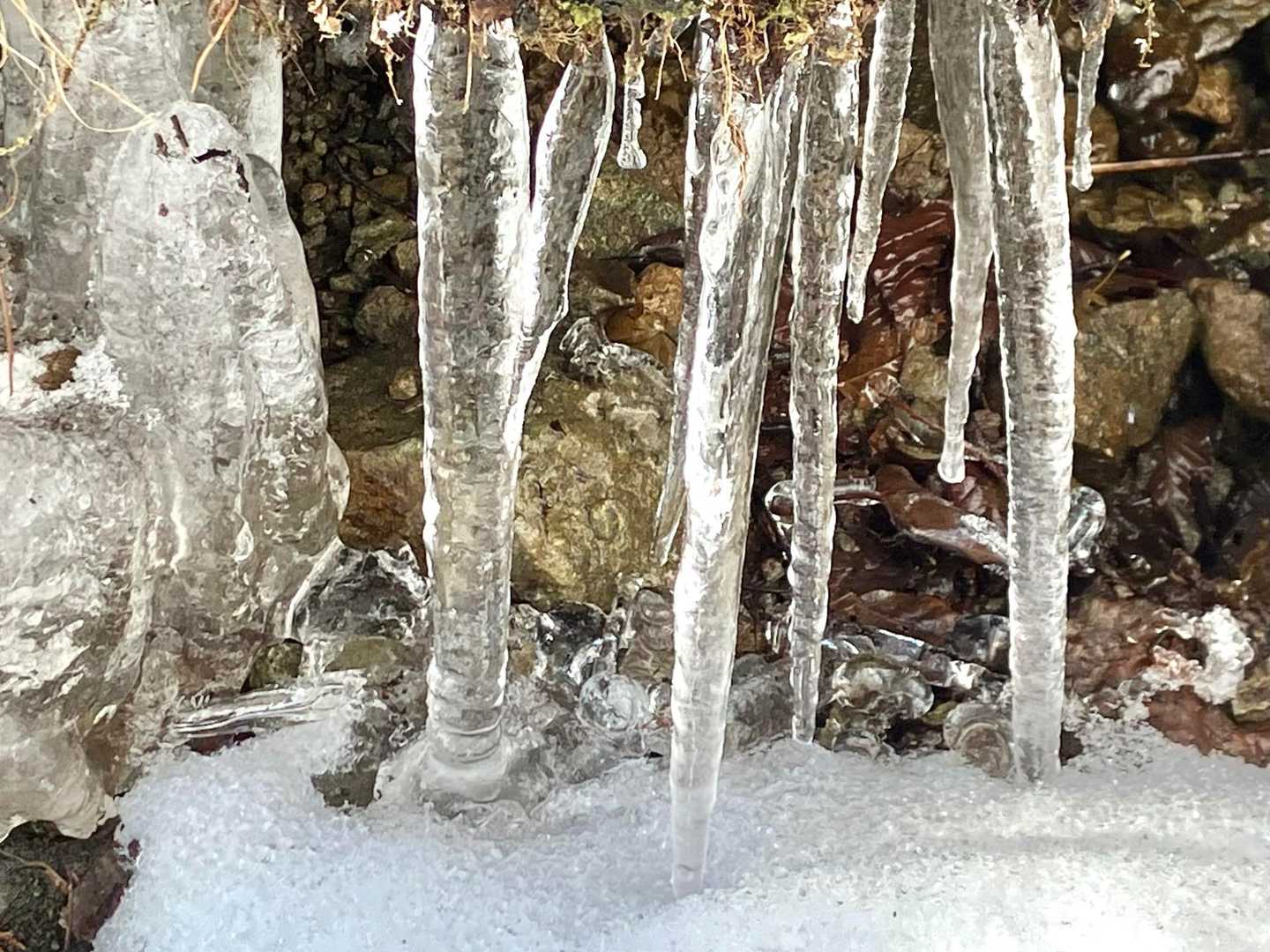 水場にできていた“つらら”