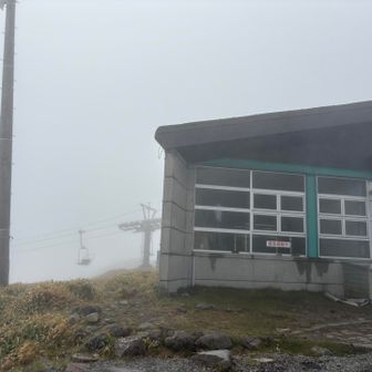 こんな天気でも動いてる