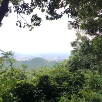 出穂岳から福智山を望む