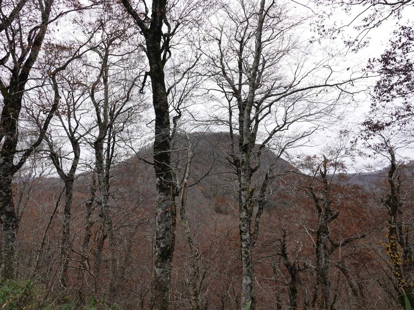 次はあちらの茶臼山へ