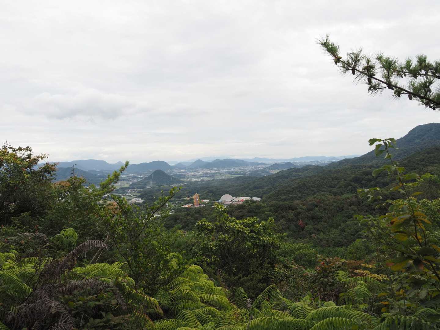 城山 往復コースの写真