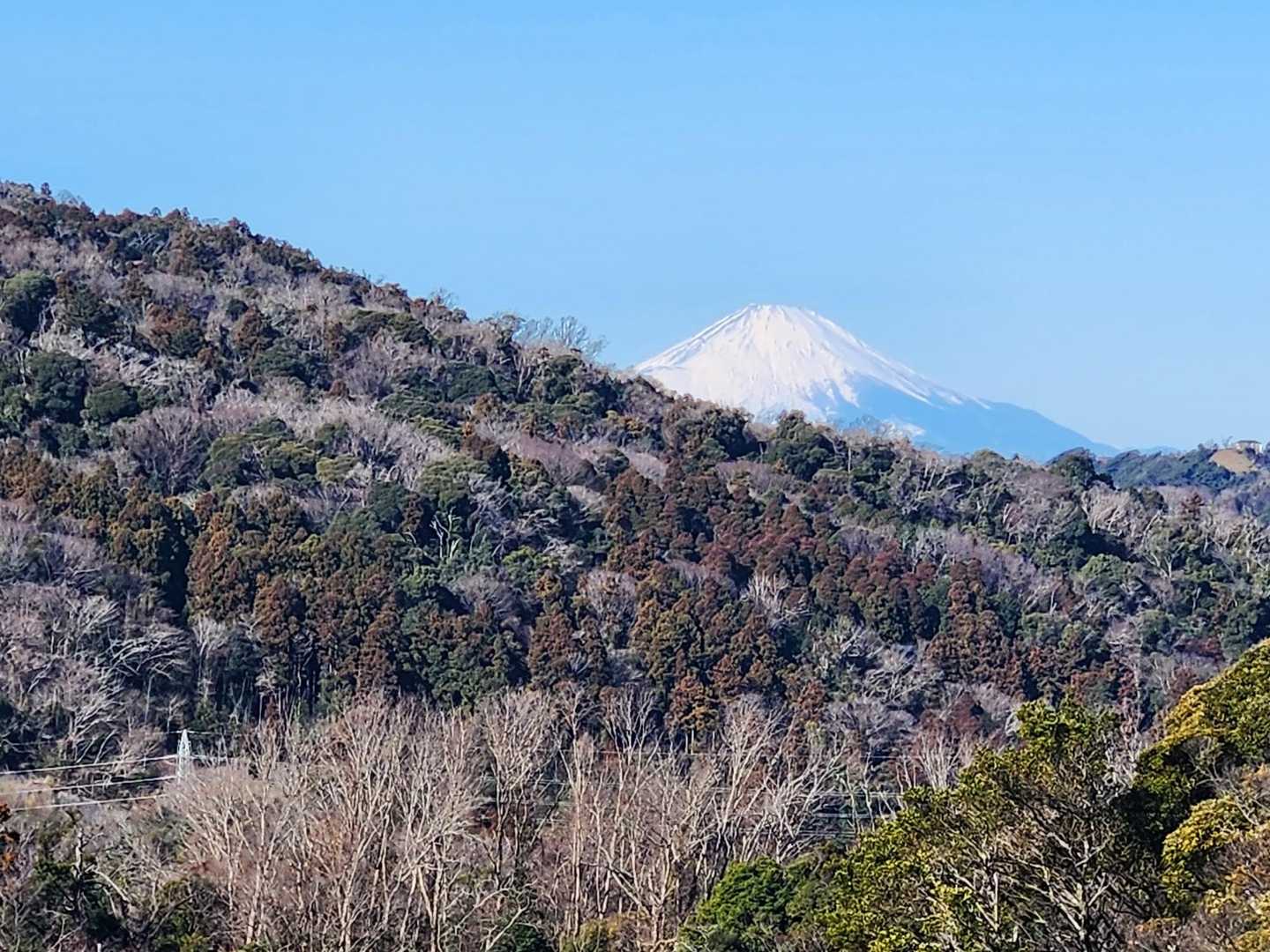 富士山ひょっこり