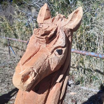 来年の干支！！