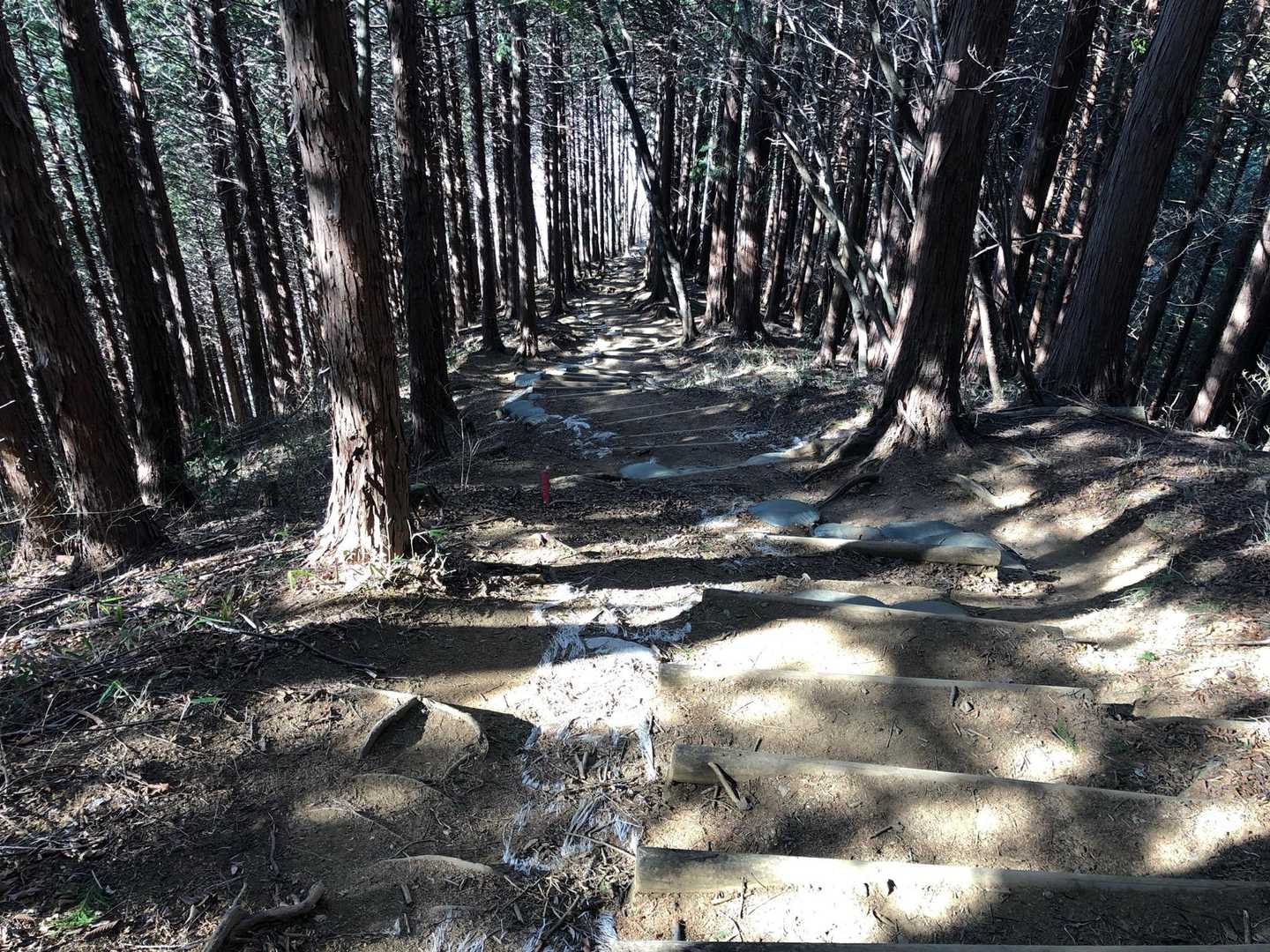 石老山 縦走コースの写真