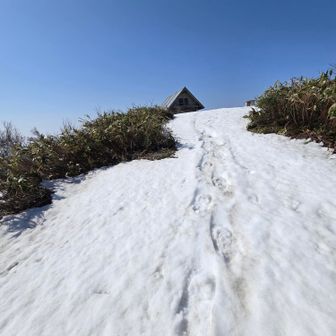南丈競の三角屋根が見えました
