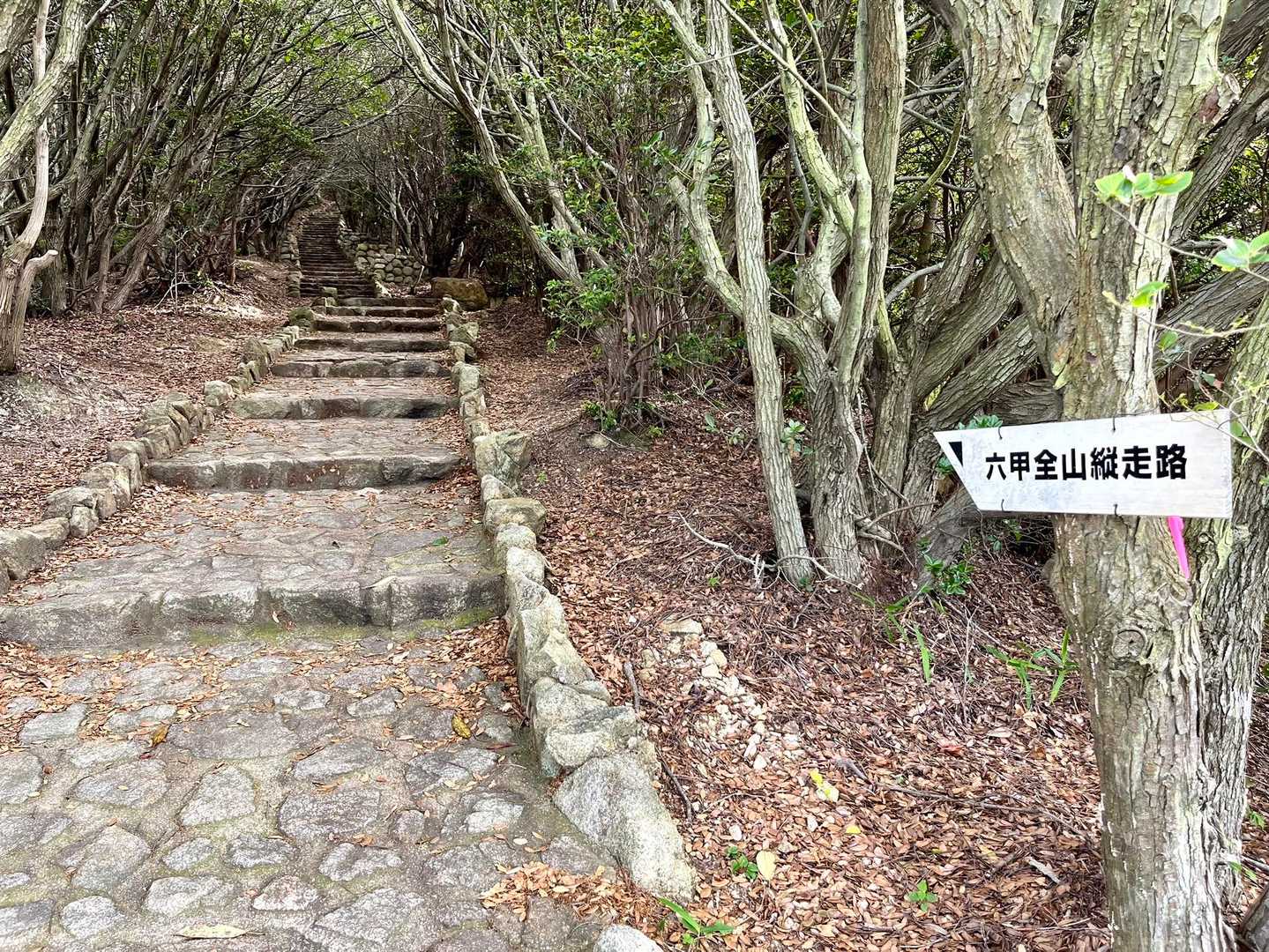 さあ、まだまだ階段ガーン