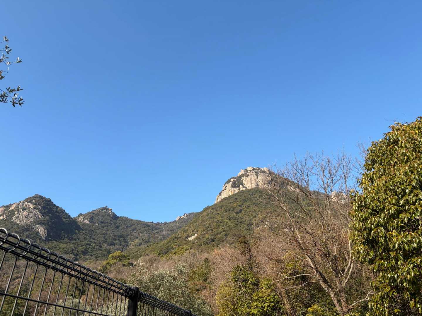 あの岩🪨の上に登ったんや〜😱