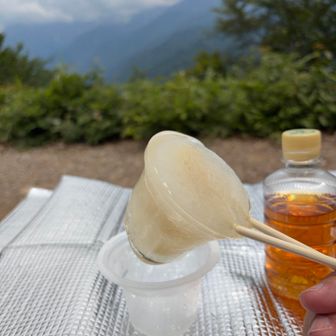 そうだ！
ゼリーの容器が空いたら、それを使おう！😊
半解凍のゼリーがシャーベット状でこれまた美味🥰
そして、スプーンはいらない🙂‍↔️
お行儀は悪いですが、はしに刺したままかぶりつくようにいただきました！🥢💦
