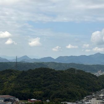 関市内から金華山が見えます