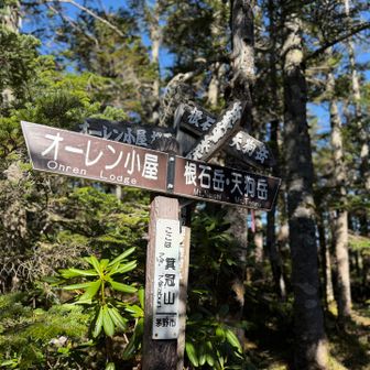 地味山頂⛰️箕冠山
だけどここから先がお楽しみ