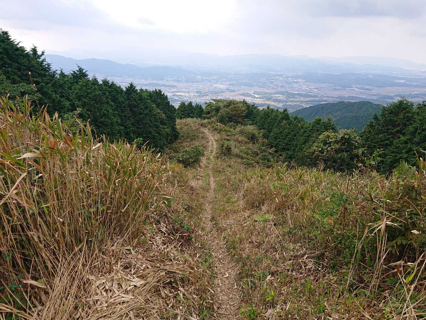 草も刈られていて快適です